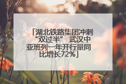 湖北铁路集团冲刺“双过半” 武汉中亚班列一年开行量同比增长72%