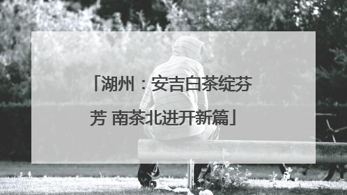 湖州：安吉白茶绽芬芳 南茶北进开新篇