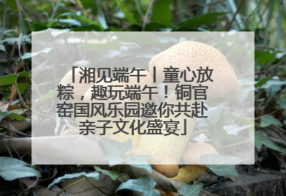 湘见端午丨童心放粽，趣玩端午！铜官窑国风乐园邀你共赴亲子文化盛宴