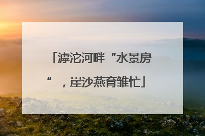 滹沱河畔“水景房”，崖沙燕育雏忙