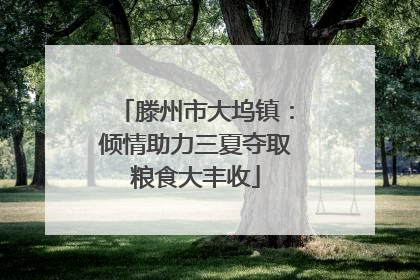 滕州市大坞镇：倾情助力三夏夺取粮食大丰收