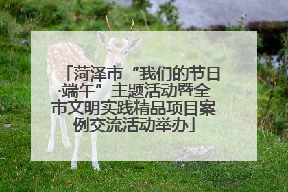 菏泽市“我们的节日·端午”主题活动暨全市文明实践精品项目案例交流活动举办