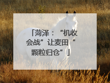 菏泽：“机收会战”让麦田“颗粒归仓”