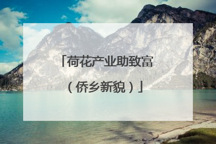 荷花产业助致富（侨乡新貌）