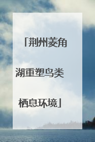荆州菱角湖重塑鸟类栖息环境