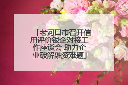 老河口市召开信用评价银企对接工作座谈会 助力企业破解融资难题
