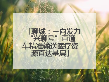 聊城：三向发力 “兴聊号”直通车精准输送医疗资源直达基层