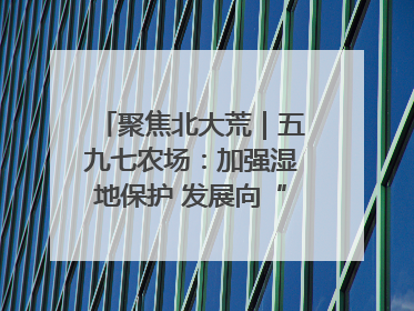 聚焦北大荒｜五九七农场：加强湿地保护 发展向“绿”而行