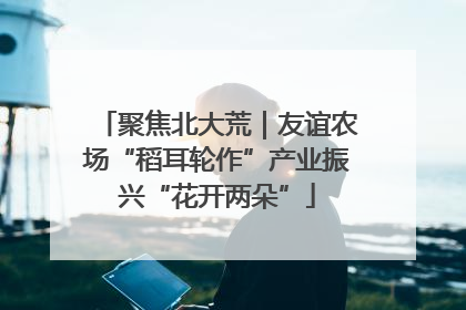 聚焦北大荒｜友谊农场“稻耳轮作”产业振兴“花开两朵”