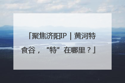 聚焦济阳IP｜黄河特食谷，“特”在哪里？