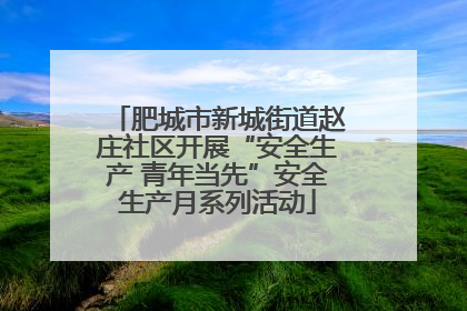 肥城市新城街道赵庄社区开展“安全生产 青年当先”安全生产月系列活动