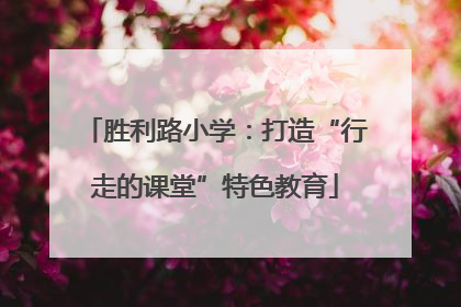 胜利路小学：打造“行走的课堂”特色教育