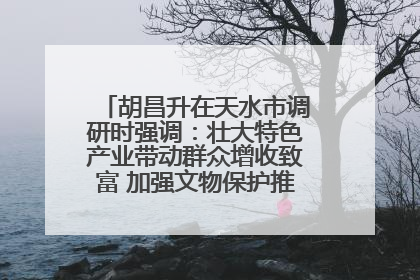 胡昌升在天水市调研时强调：壮大特色产业带动群众增收致富 加强文物保护推动文化创新发展