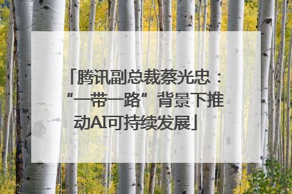 腾讯副总裁蔡光忠：“一带一路”背景下推动AI可持续发展