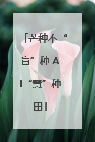 芒种不“盲”种 AI“慧”种田