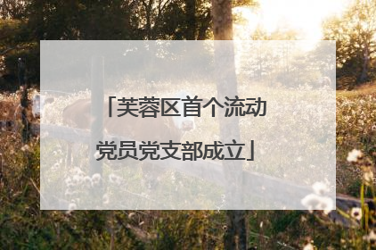 芙蓉区首个流动党员党支部成立