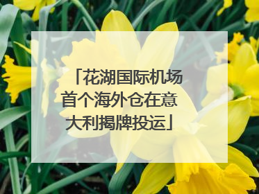 花湖国际机场首个海外仓在意大利揭牌投运