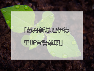 苏丹新总理伊德里斯宣誓就职