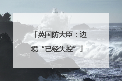 英国防大臣：边境“已经失控”