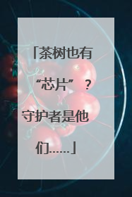 茶树也有“芯片”？守护者是他们……