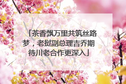 茶香飘万里共筑丝路梦，老挝副总理吉乔期待川老合作更深入