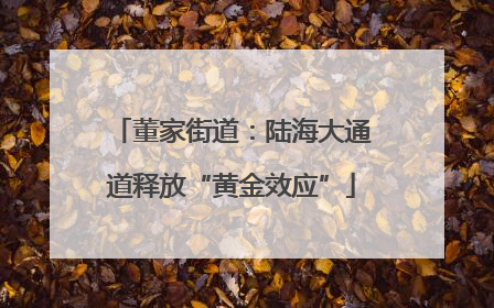 董家街道：陆海大通道释放“黄金效应”