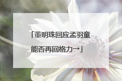 董明珠回应孟羽童能否再回格力→