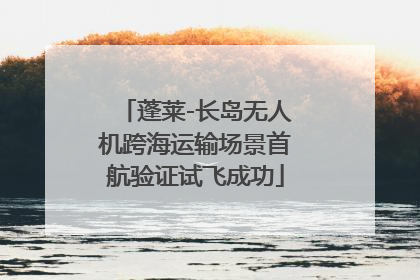 蓬莱-长岛无人机跨海运输场景首航验证试飞成功