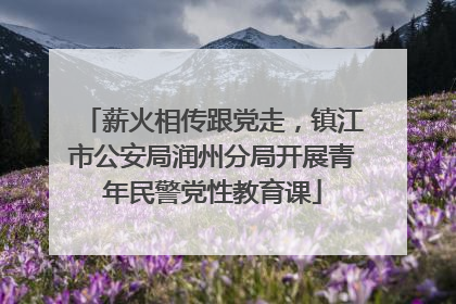 薪火相传跟党走，镇江市公安局润州分局开展青年民警党性教育课