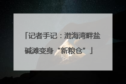 记者手记：渤海湾畔盐碱滩变身“新粮仓”
