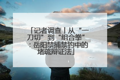 记者调查丨从“一刀切”到“组合拳”：岳阳禁捕禁钓中的堵疏辩证法