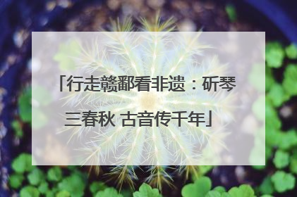 行走赣鄱看非遗：斫琴三春秋 古音传千年