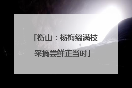 衡山：杨梅缀满枝 采摘尝鲜正当时