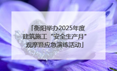 衡阳举办2025年度建筑施工“安全生产月”观摩暨应急演练活动