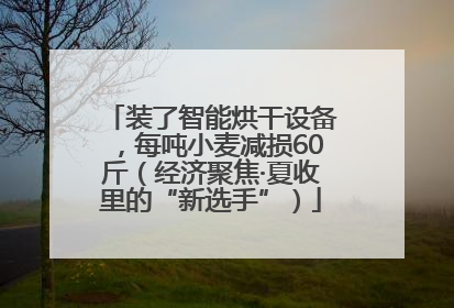 装了智能烘干设备，每吨小麦减损60斤（经济聚焦·夏收里的“新选手”）