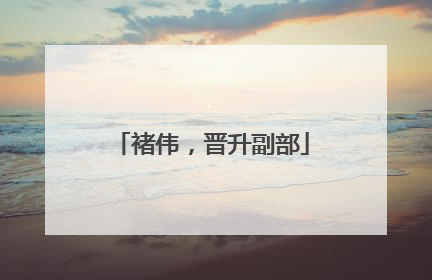 褚伟，晋升副部