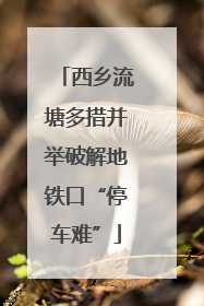 西乡流塘多措并举破解地铁口“停车难”