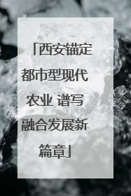西安锚定都市型现代农业 谱写融合发展新篇章