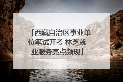 西藏自治区事业单位笔试开考 林芝就业服务亮点频现