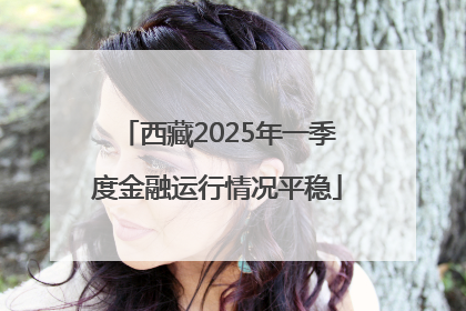 西藏2025年一季度金融运行情况平稳