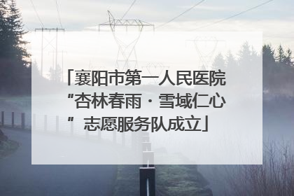 襄阳市第一人民医院“杏林春雨・雪域仁心”志愿服务队成立