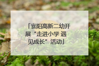 襄阳高新二幼开展“走进小学 遇见成长”活动