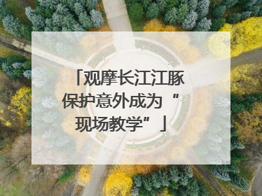 观摩长江江豚保护意外成为“现场教学”