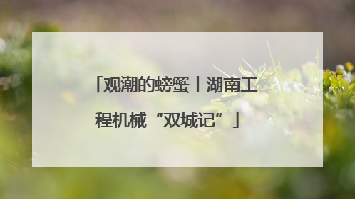 观潮的螃蟹丨湖南工程机械“双城记”