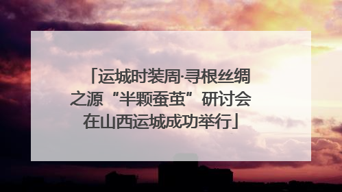 运城时装周·寻根丝绸之源“半颗蚕茧”研讨会在山西运城成功举行