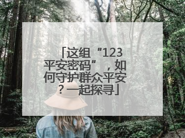 这组“123平安密码”，如何守护群众平安？一起探寻