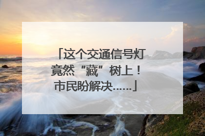 这个交通信号灯竟然“藏”树上！市民盼解决……