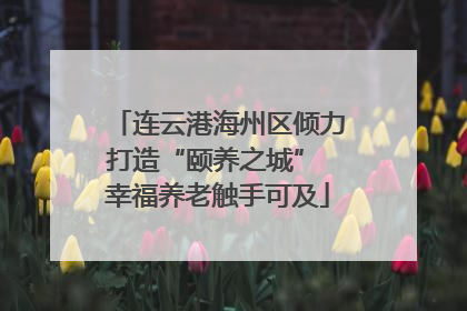 连云港海州区倾力打造“颐养之城” 幸福养老触手可及