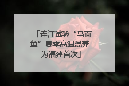 连江试验“马面鱼”夏季高温混养 为福建首次