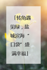 转角遇见绿，盐城滨海“口袋”盛满幸福